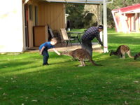 Book Kalgan Accommodation Vacations Holiday Find Holiday Find