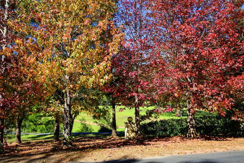 Kangaroo Valley Timber Cabin - Holiday Find 3
