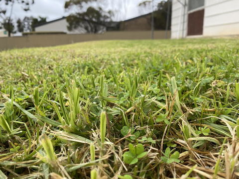 Karoonda Accommodation - Holiday Find 0