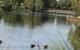 Lakeside On Boardwalk - thumb 1