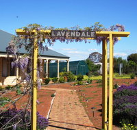Lavendale Farmstay and Cottages York - Holiday Find