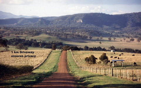 LeCamah Hill - Holiday Find 2