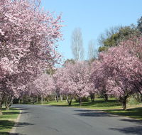 Leo's Rest Bathurst NSW - Holiday Find