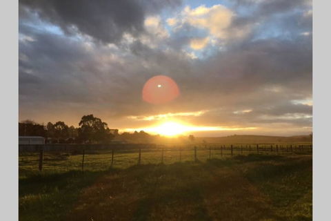 Lucys Artist Cottage - Holiday Find 3