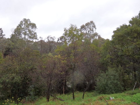 Mandall Avenue - Holiday Find 2