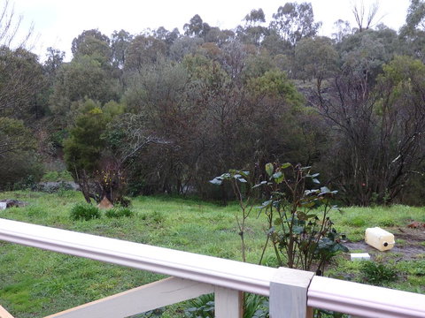 Mandall Avenue - Holiday Find 1