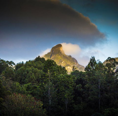 Mavis's Cabins @ Mt Warning - Holiday Find 1