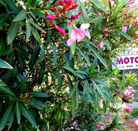 Mercury motor inn - Holiday Find