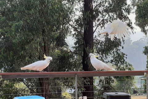 Merry Mary Casa - Holiday Find 3