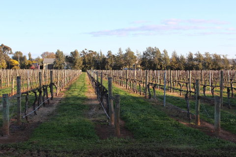 Milawa Vineyard Views - Guesthouse 1 - Holiday Find 1