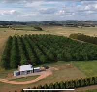 Millthorpe Truffles - Gorgeous getaway for 2 - Holiday Find