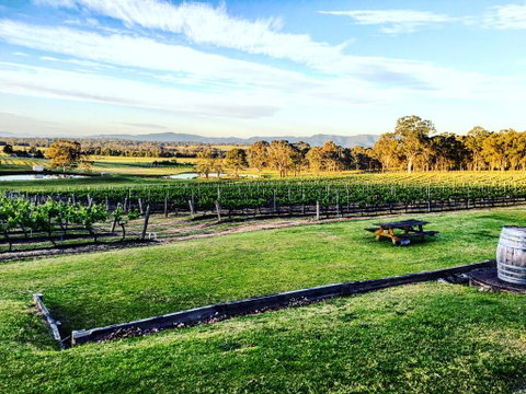 Molly Morgan Vineyard - Holiday Find 1