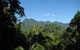 Mossman Gorge Bed And Breakfast - thumb 0
