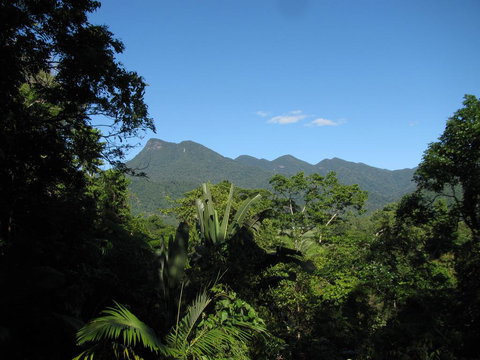 Mossman Gorge Bed And Breakfast - Holiday Find 0