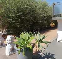 Mt.Lawley superb 2 BR Apartment Ideally located 5 - Holiday Find