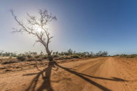 Book Mungo Accommodation Vacations Holiday Find Holiday Find