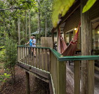 Narrows Escape Rainforest Retreat - Holiday Find