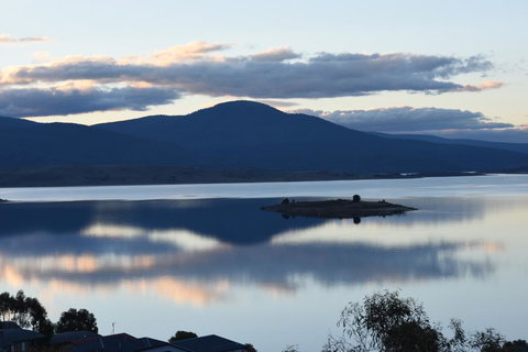 Naturescape - Holiday Find 1