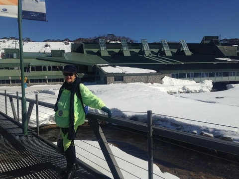 Naturescape - Holiday Find 2