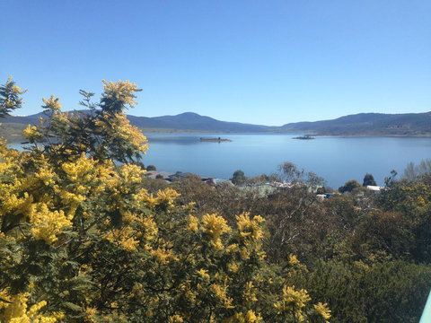 Naturescape - Holiday Find 3