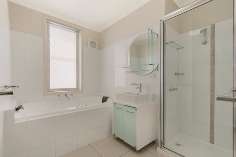 Nautilus - Holiday Find 1