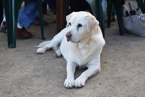 Nazaaray Beach House - Holiday Find 0