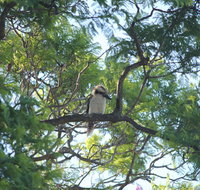 Jacaranda Hideaway Bed  Breakfast - Holiday Find