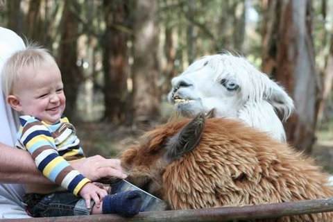 Margaret River Hideaway & Farmstay - Holiday Find 21