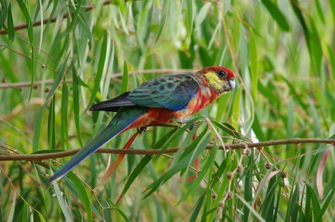 Margaret River Hideaway & Farmstay - Holiday Find 20