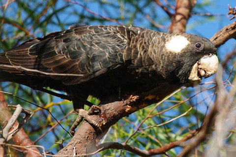 Margaret River Hideaway & Farmstay - Holiday Find 22