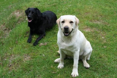 Margaret River Hideaway & Farmstay - Holiday Find 29