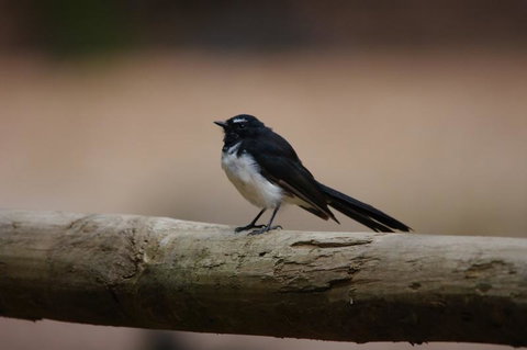 Margaret River Hideaway & Farmstay - Holiday Find 33