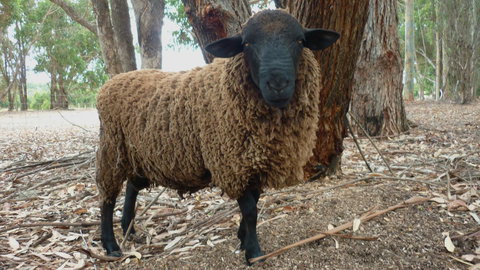 Margaret River Hideaway & Farmstay - Holiday Find 27