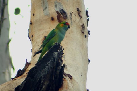 Margaret River Hideaway & Farmstay - Holiday Find 23