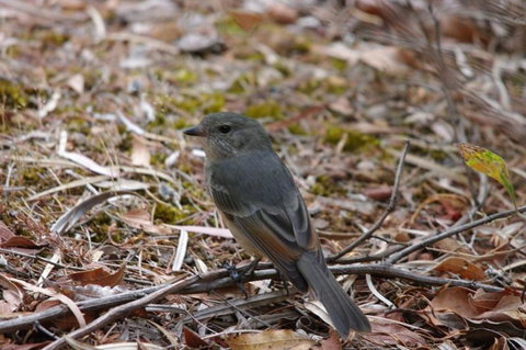 Margaret River Hideaway & Farmstay - Holiday Find 24