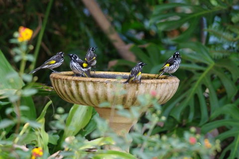 Margaret River Hideaway & Farmstay - Holiday Find 30