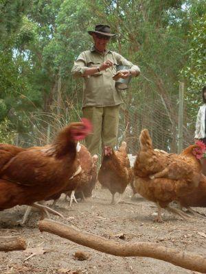 Margaret River Hideaway & Farmstay - Holiday Find 28