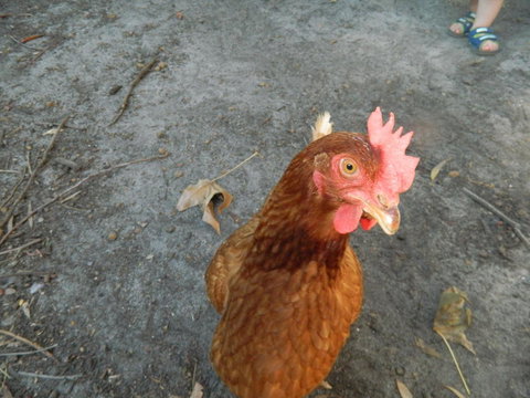 Margaret River Hideaway & Farmstay - Holiday Find 34