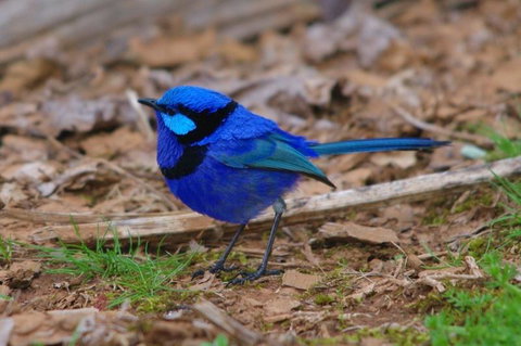 Margaret River Hideaway & Farmstay - Holiday Find 25