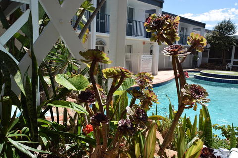 Seashore Memories - Sleeps 3 - Holiday Find 14