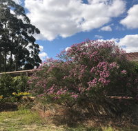 Cockburn Retreat Home  - Holiday Find