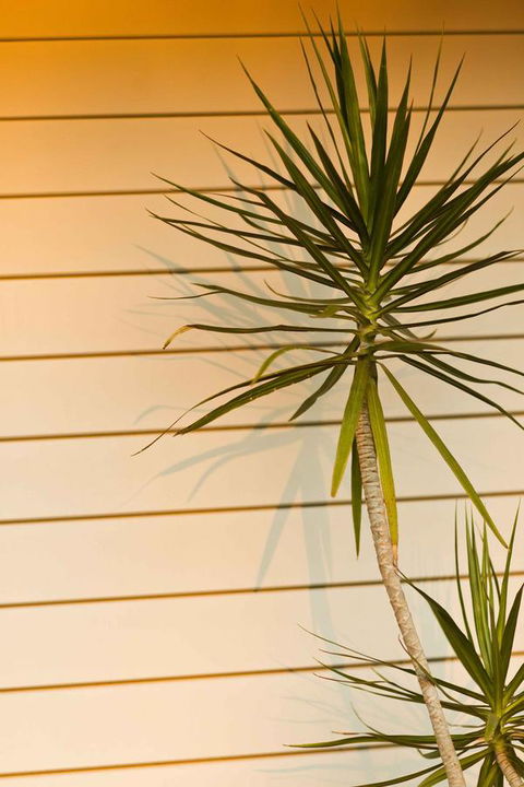 The Billi Resort - Holiday Find 44