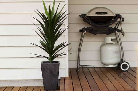 The Billi Resort - Holiday Find 30