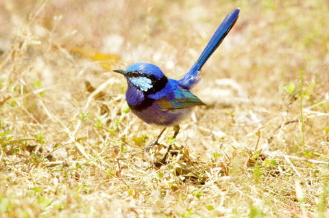 Yelverton Brook Conservation Sanctuary - Holiday Find 23