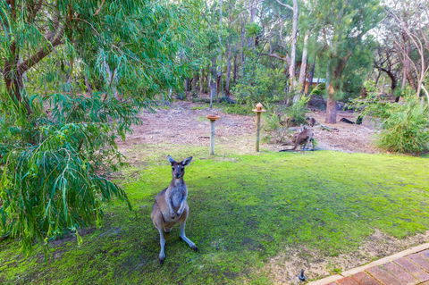 Yelverton Brook Conservation Sanctuary - Holiday Find 11