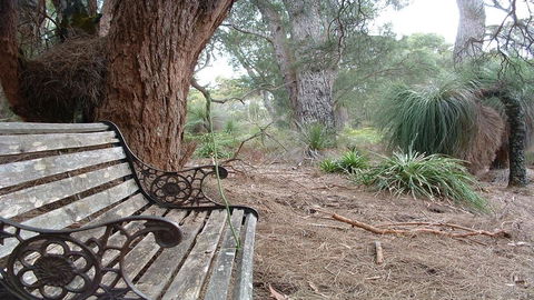 Yelverton Brook Conservation Sanctuary - Holiday Find 42