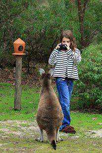 Yelverton Brook Conservation Sanctuary - Holiday Find 39