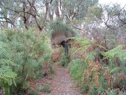 Yelverton Brook Conservation Sanctuary - Holiday Find 41