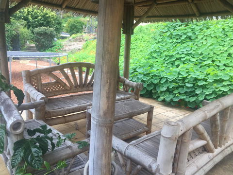 Bright & Beautiful Home On The Hills! - Holiday Find 25