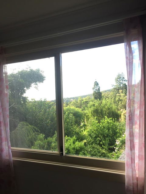 Bright & Beautiful Home On The Hills! - Holiday Find 19